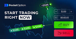 Comprehensive Guide to Pocket Option Platform 11