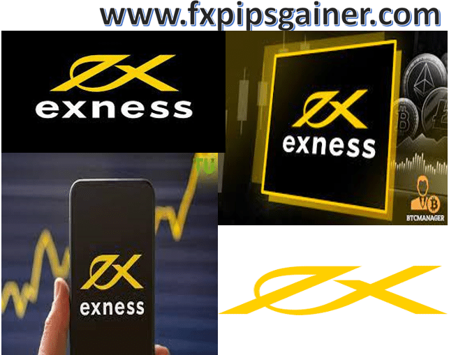 Halal Forex Account On Exness - Your Path to Ethical Trading