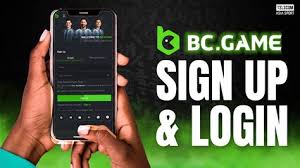 Comprehensive Guide to Support BC.Game 6