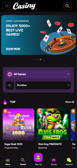 Comprehensive Casiny Casino Review for Enthusiasts and Beginners